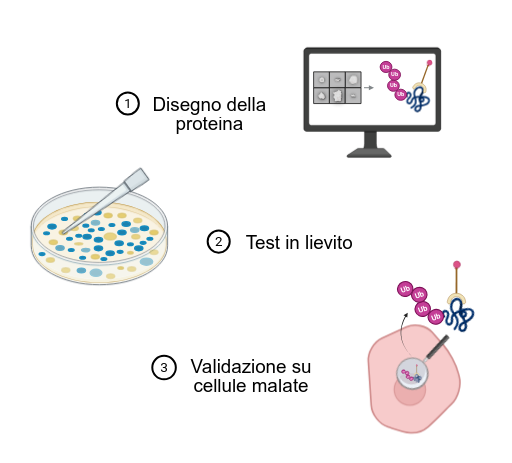 flusso di progetto